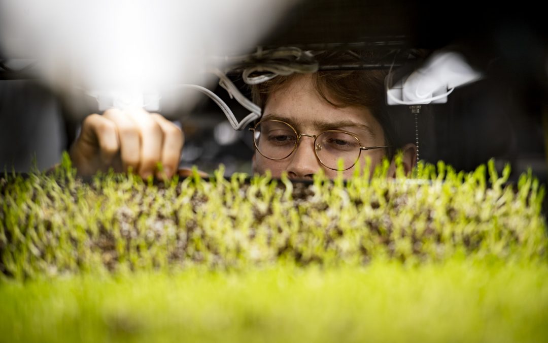 A sprouting subscription service kept this microgreens farmer growing during the pandemic